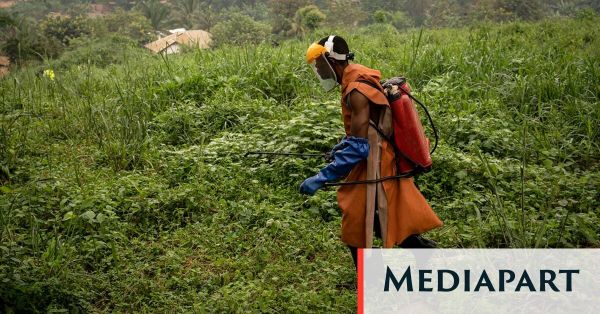 En RDC, l'huile de palme au mépris des droits humains