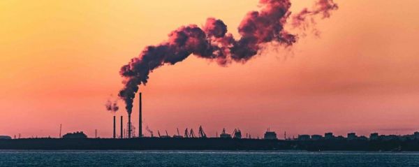 Prolifération des algues toxiques : un phénomène annonciateur de l'extinction de l'humanité ?