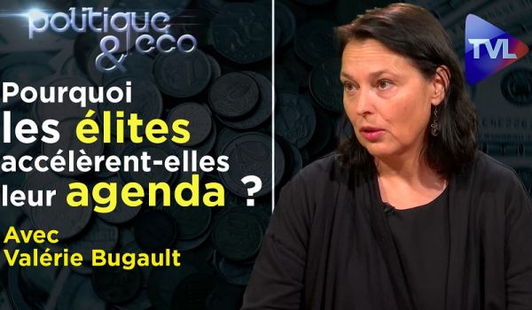 Trahison des institutions : la mort de l’État ?