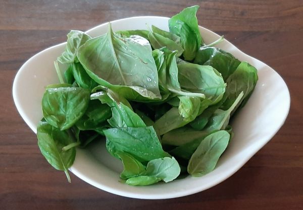 Comment congeler du basilic frais du jardin ? Voici la bonne méthode !