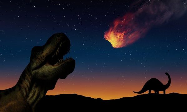 Les dinosaures étaient antivaccins, et c’est ce qui aurait engendré leur extinction