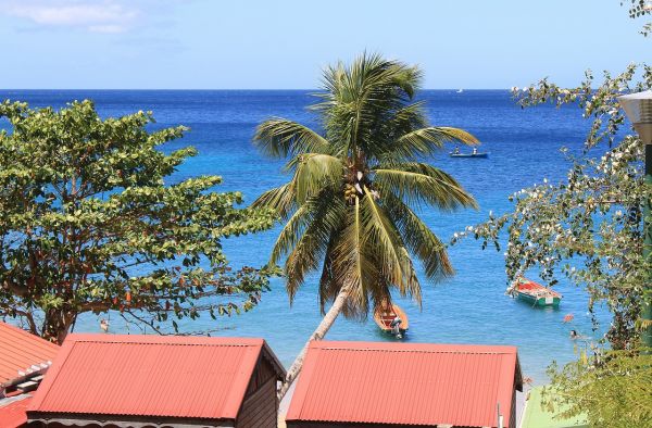 Martinique : allègement progressif des restrictions