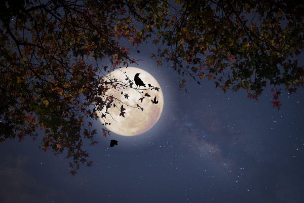 Pleine lune octobre 2021 : quels signes sont les plus impactés par l'astre sélène ?