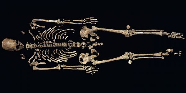 Débats éthiques sur l'étude de l'ADN humain ancien