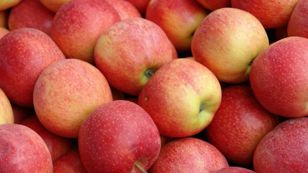 La pomme Pink Lady, une redoutable machine marketing qui vient de (très) loin