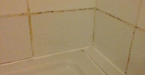 Misterbricolo combat l'humidité dans sa salle de bain...