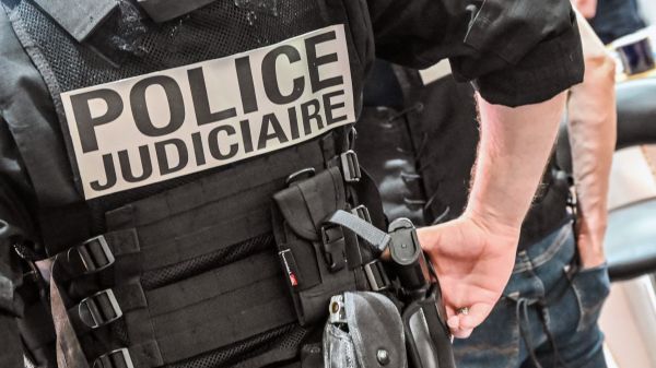 Yvelines: un judoka retrouvé pendu dans une forêt, la piste criminelle envisagée