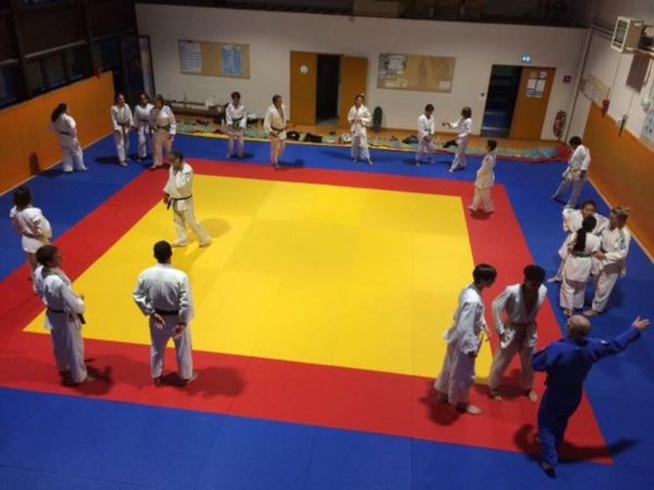 Soustons : le judo repart au combat sur les tatamis