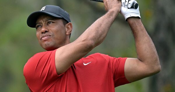 Tiger Wood prépare son retour sur les parcours de golf, 9 mois après son accident