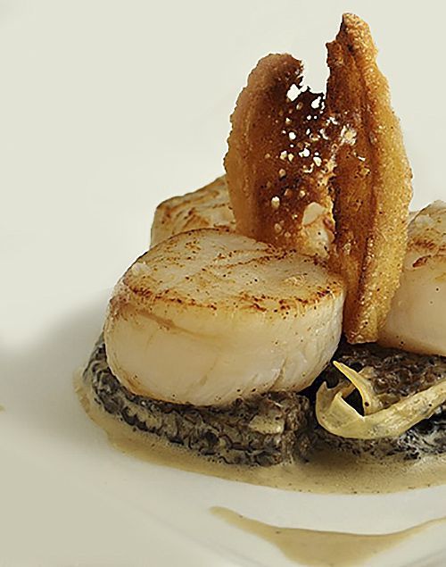 Coquilles Saint-Jacques aux morilles à la crème