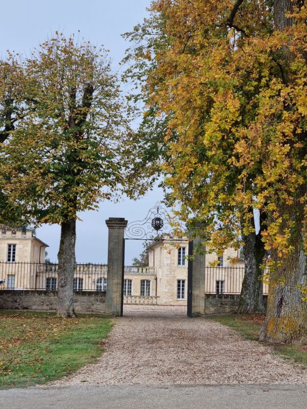 Château de Ferrand, un Grand Cru Classé de Saint-Emilion