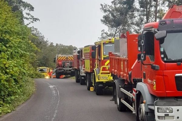 Incendie au Maïdo : une trentaine de pompiers mobilisés sur le sentier d'Ilet Alcide
