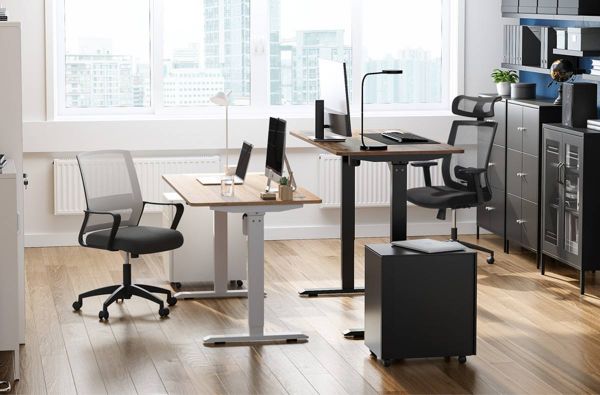 ᐅ TOP Bureau Assis-Debout Manuel | Ergodays