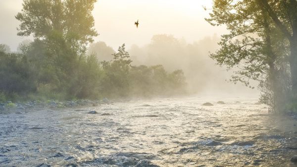 La Loire, dernier grand fleuve sauvage d'Europe