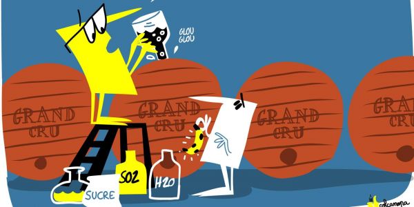 Un négociant de vin condamné à de la prison ferme pour atteinte à la concurrence et à l'image des vins de Bordeaux