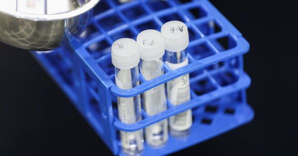 Un cas du variant Omicron identifié à la Réunion, le premier en France