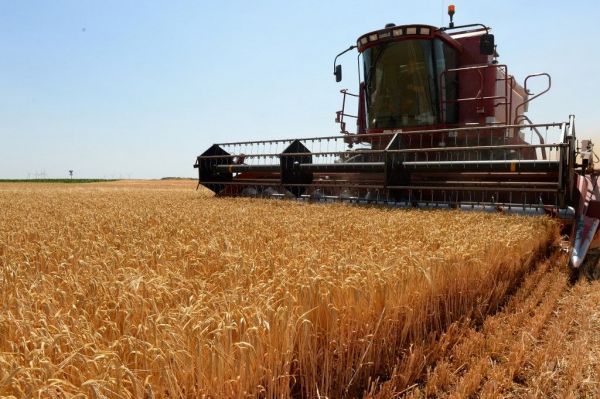 Crise énergétique : une très mauvaise nouvelle pour le coût des engrais et ceux des produits alimentaires