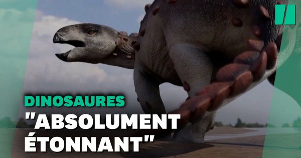 La queue de ce nouveau dinosaure est unique
