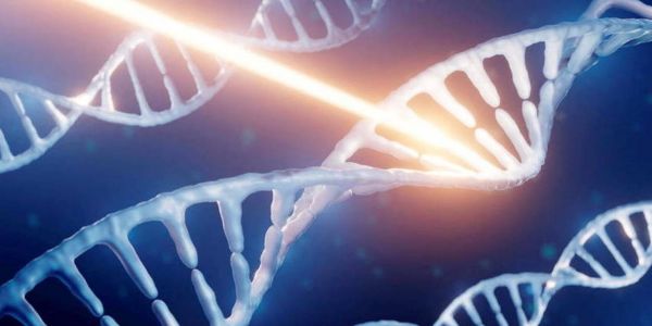 La Déclaration des droits de l'homme gravée dans l'ADN