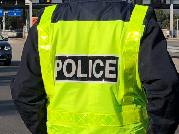 En Essonne, une adolescente de 18 ans entre la vie et la mort à l'hôpital après avoir été mordue par trois Staffordshire