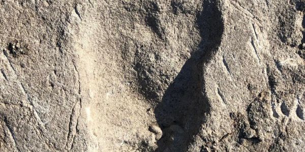 Saga autour d'énigmatiques traces de pas vieilles de 3,6 millions d'années
