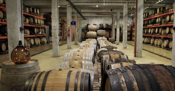 Terroir. Vers un whisky 100 % alsacien, de l'orge au tonneau