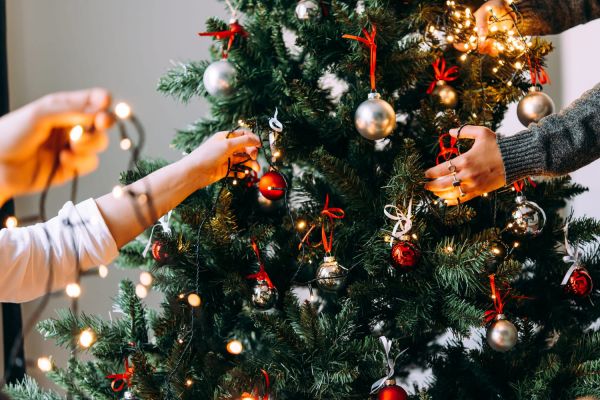 Sapin de Noël : comment le choisir, le conserver, et le décorer ?