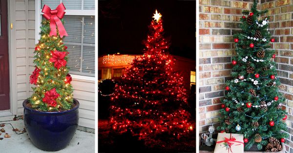 19 charmantes décorations d’arbres de Noël en plein air à essayer cette année