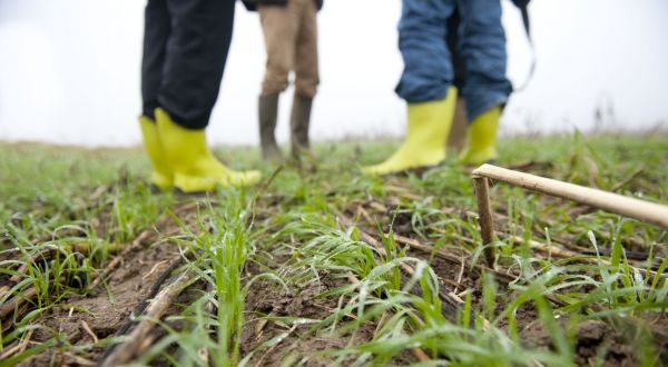 Les programmes pluriannuels du développement agricole et rural 2022-2027 (PNDAR)