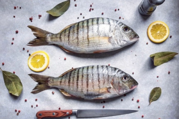 Poiscaille, les casiers de pêche durable