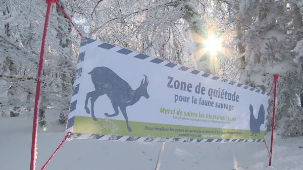 Dans le Massif des Vosges, une nouvelle signalétique pour préserver la quiétude des animaux