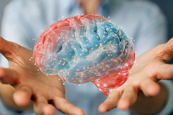 Alzheimer : élucider les mécanismes précoces de propagation de la protéine Tau