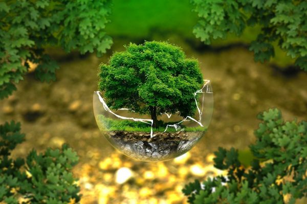 Un coordinateur pour l'écologie intégrale dans le diocèse de Tournai