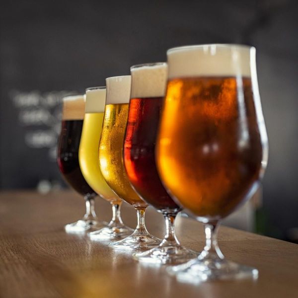 Bière : l&#039;édition fait monter la pression