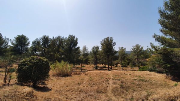 Trois villes du Var s'engagent pour défendre les terres agricoles et favoriser l'installation d'exploitants