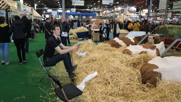 Le Salon de l'agriculture aura bien lieu, selon les organisateurs
