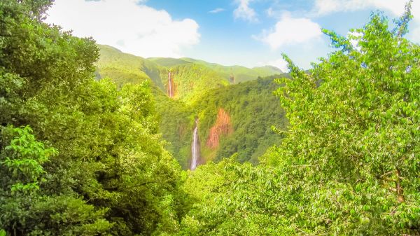 Guadeloupe : un vacancier retrouvé vivant dans la forêt six jours après sa disparition