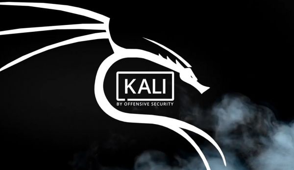 Remote access to Kali Linux