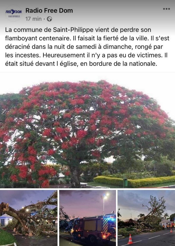 Une faute de frappe de Freedom provoque l'hilarité sur les réseaux sociaux