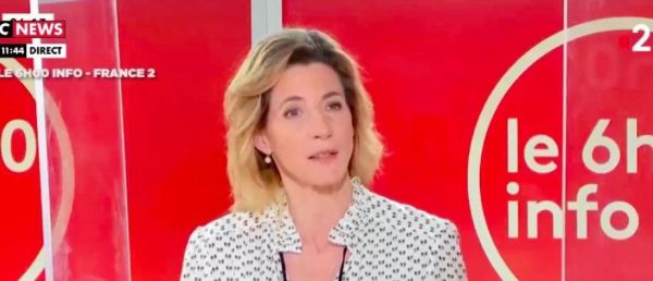 Révélations sur Macron - Alix Bouilhaguet, éditorialiste politique de France Télé, se fait flinguer par Jérôme Dubus de En Marche: "Vous appelez ça une spécialiste ? Ils sont tombés [...]