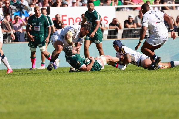 Section Paloise : la route du Top 14 va s'élever jusqu'en mars