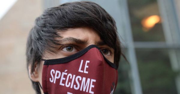 Du sursis requis contre des animalistes pour des tags et dégradations dans des élevages