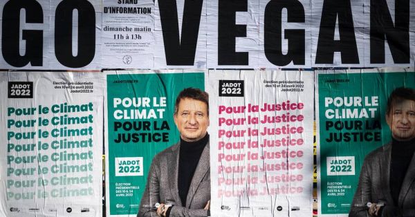A Lyon, Jadot présente son programme pour une "République écologique"