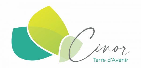 CINOR : Avis de marché