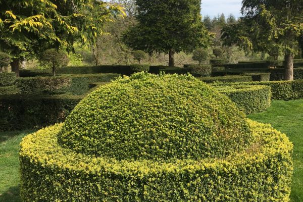 L'art topiaire, un des beaux-arts du jardin