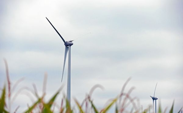 Ce qu'attend la filière des énergies renouvelables du gouvernement Borne