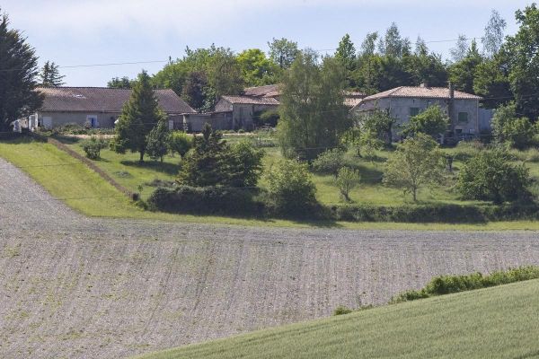 Pas de fête pour eux en Charente: mon voisin me fait vivre l'enfer