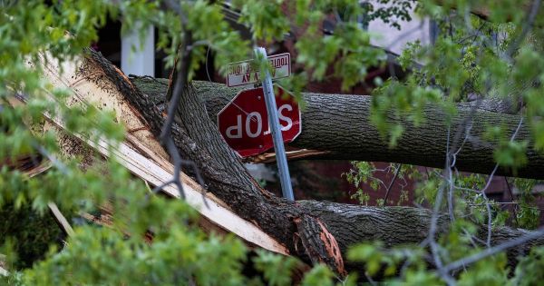 Canada: un orage de "près de 1000 km de long" fait au moins 8 morts