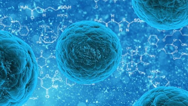 Virus Monkeypox : La Belgique instaure un confinement obligatoire de 3 semaines pour les cas de variole du singe