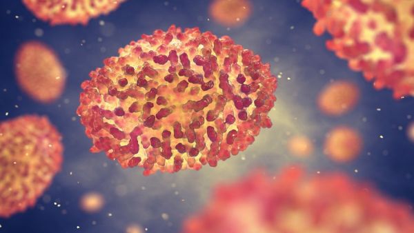 Variole du singe : sexe, état de santé, cas contact... que sait-on de la première personne infectée par le virus Monkeypox en Occitanie ?